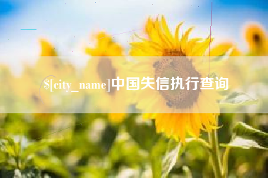 凤城中国失信执行查询