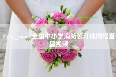 凤城全国中小学消防公开课网络直播视频