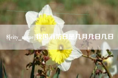 凤城我国消防日是几月几日几日
