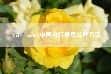 凤城中国执行信息公开名单