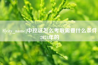 凤城中控证怎么考取需要什么条件2024年的