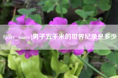 凤城男子五千米的世界纪录是多少