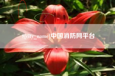凤城中国消防网平台
