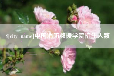 凤城中国消防救援学院招生人数