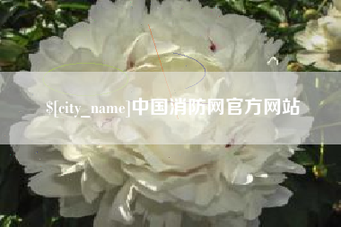 凤城中国消防网官方网站