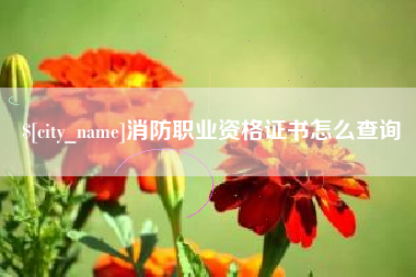 凤城消防职业资格证书怎么查询