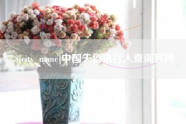 凤城中国失信执行人查询官网