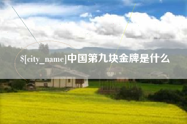 凤城中国第九块金牌是什么