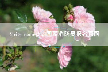 凤城2021国家消防员报名官网