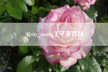 凤城王子豪百科