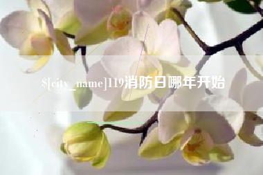 凤城119消防日哪年开始