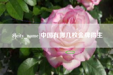 凤城中国有哪几枚金牌得主