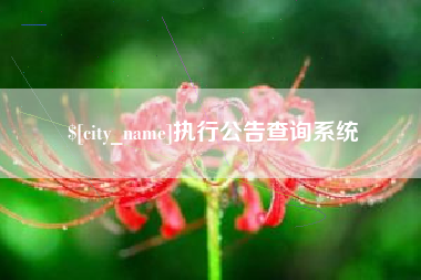 凤城执行公告查询系统