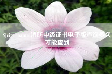 凤城消防中级证书电子版查询多久才能查到