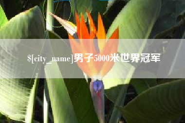 凤城男子5000米世界冠军