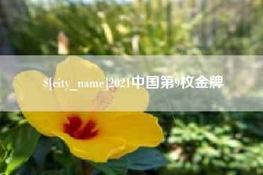 凤城2021中国第9枚金牌