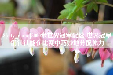 凤城5000米世界冠军配速-世界冠军们往往能在比赛中巧妙地分配体力