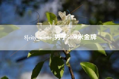 凤城男子5000米金牌