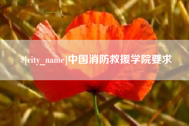 凤城中国消防救援学院要求