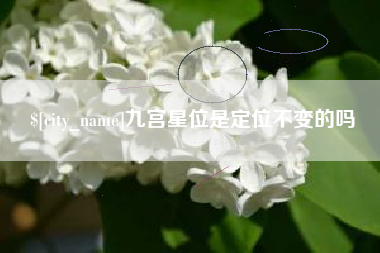 凤城九宫星位是定位不变的吗