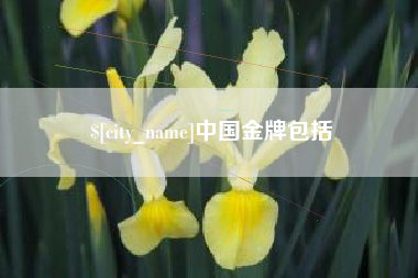 凤城中国金牌包括