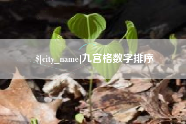 凤城九宫格数字排序