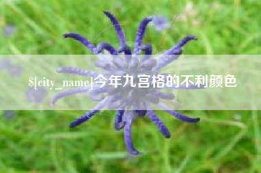 凤城今年九宫格的不利颜色