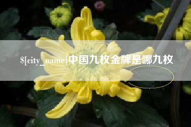 凤城中国九枚金牌是哪九枚