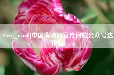 凤城中国消防网官方网站公众号达伦特