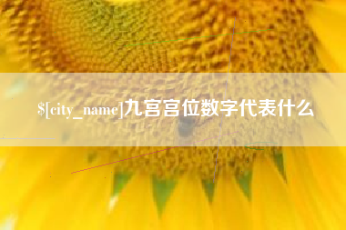 凤城九宫宫位数字代表什么