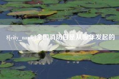 凤城全国消防日是从哪年发起的