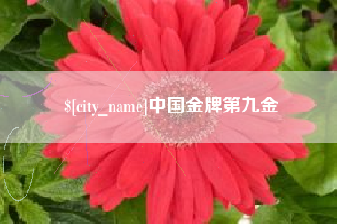 凤城中国金牌第九金