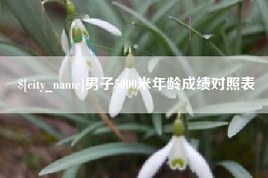 凤城男子5000米年龄成绩对照表