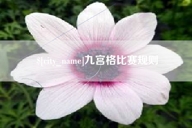 凤城九宫格比赛规则