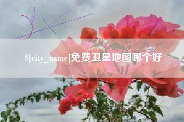 凤城免费卫星地图哪个好