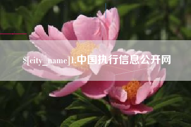凤城1.中国执行信息公开网