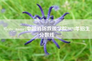 凤城中国消防救援学院2024年招生分数线