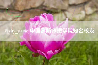 凤城中国消防救援学院知名校友