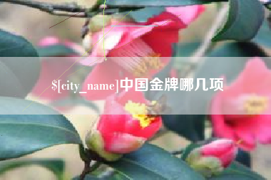 凤城中国金牌哪几项