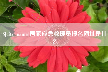 凤城国家应急救援员报名网址是什么