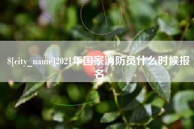 凤城2021年国家消防员什么时候报名