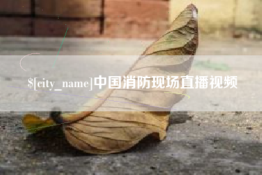 凤城中国消防现场直播视频