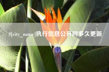凤城执行信息公开网多久更新