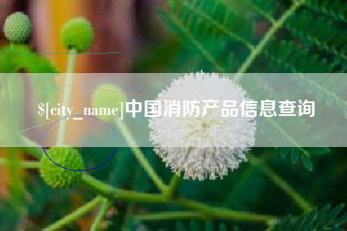 凤城中国消防产品信息查询