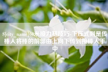凤城60米接力赛技巧-下压式则是传棒人将棒的前部由上向下传到接棒人手中