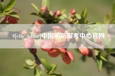 凤城中国消防报考中心官网