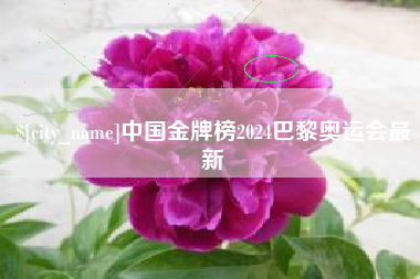 凤城中国金牌榜2024巴黎奥运会最新