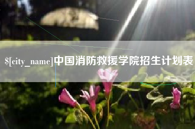凤城中国消防救援学院招生计划表
