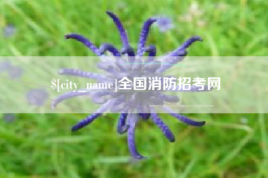 凤城全国消防招考网