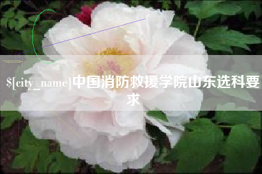 凤城中国消防救援学院山东选科要求